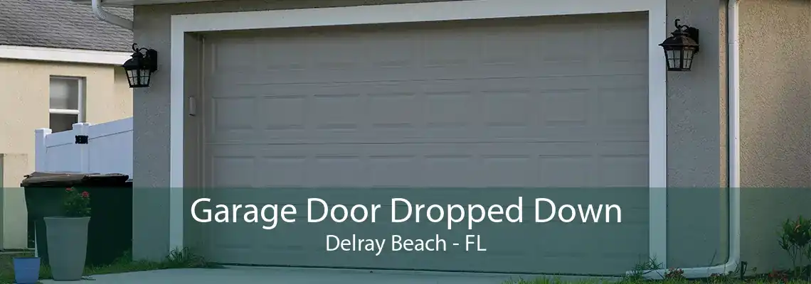 Garage Door Dropped Down Delray Beach - FL