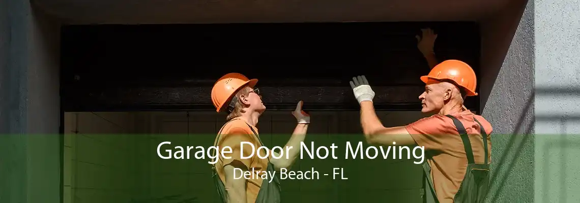 Garage Door Not Moving Delray Beach - FL