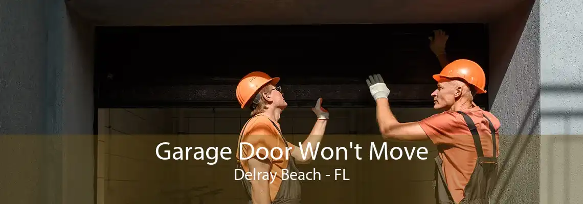 Garage Door Won't Move Delray Beach - FL